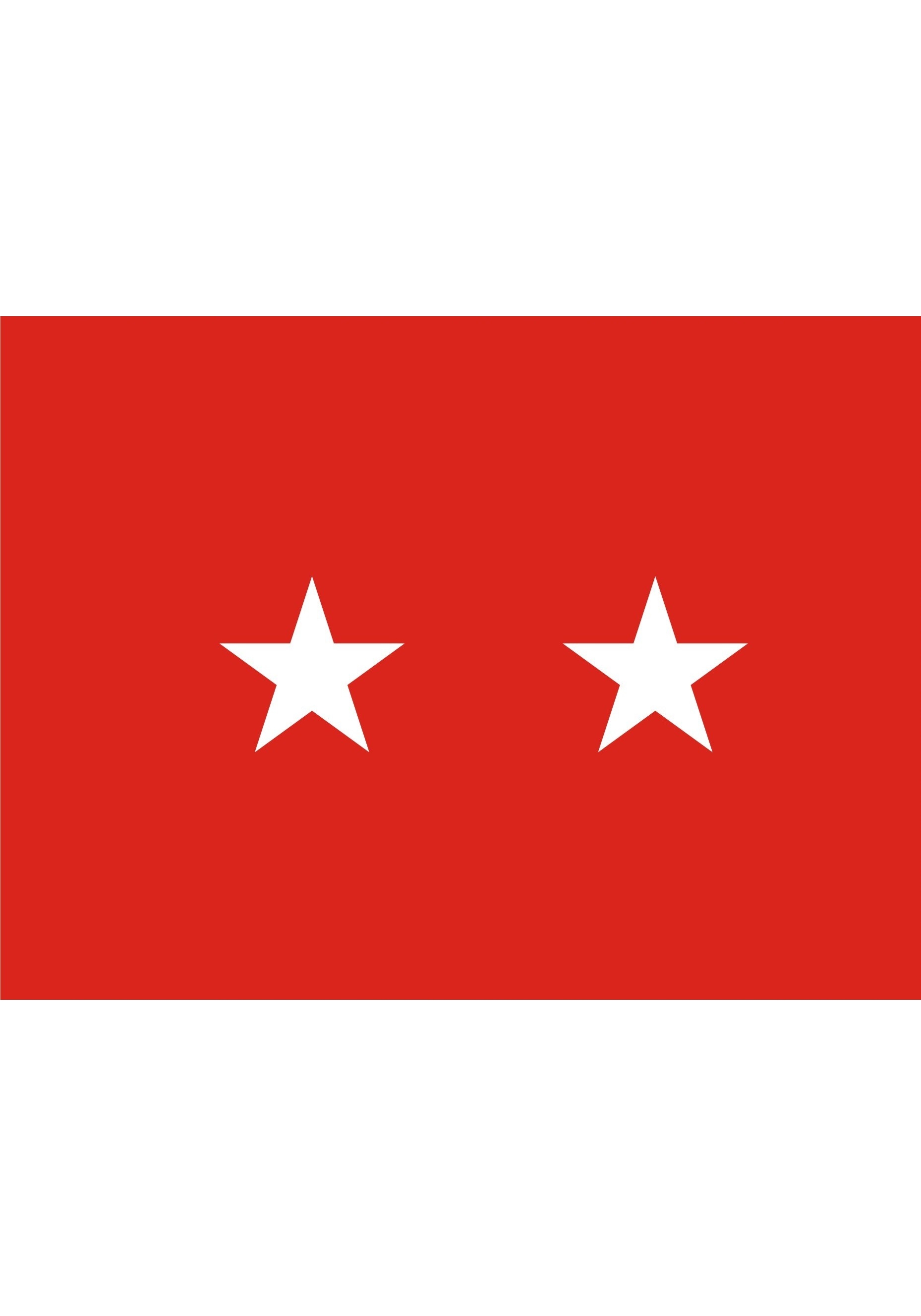 army 4 star general flag