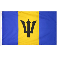 2x3 ft. Nylon Barbados Flag with Heading and Grommets