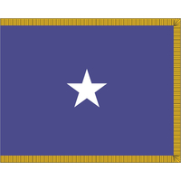3 ft. x 5 ft. Air Force 1 Star General Flag Pole Sleeve & Fringe