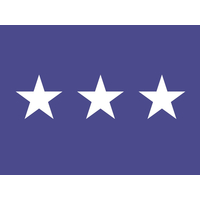 4 ft. x 6 ft. Air Force 3 Star General Flag Pole Sleeve Only
