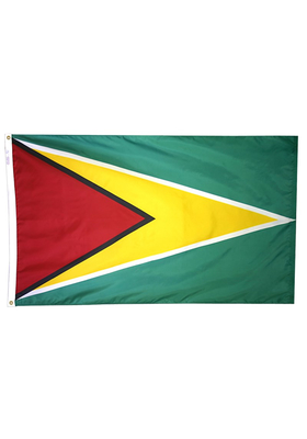 2x3 ft. Nylon Guyana Flag Pole Hem Plain