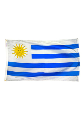 4x6 ft. Nylon Uruguay Flag Pole Hem Plain