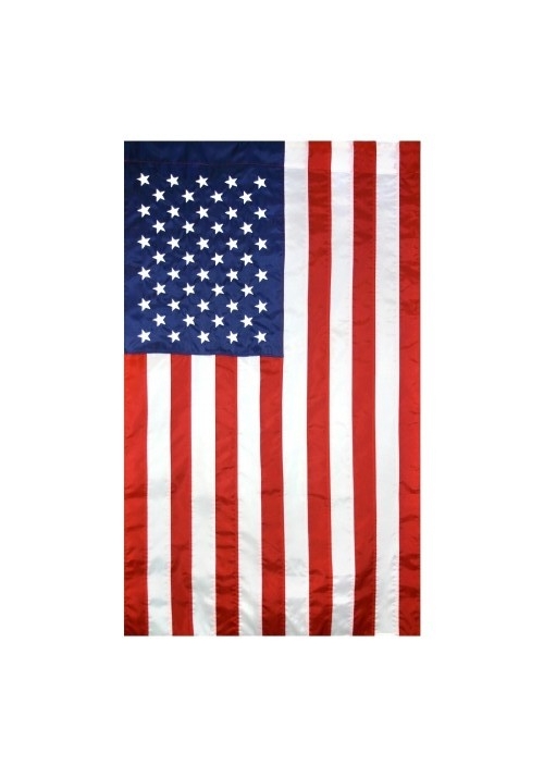 3x5 Minnesota State Poly Nylon Sleeve w/ Gold Fringe Flag 3'x5' Banner 
