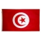 4x6 ft. Nylon Tunisia Flag with Heading and Grommets